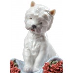 Lladro - Playful Character (Carnations) 